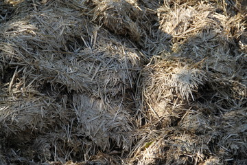 Fertilizing horse cow manure straw pile