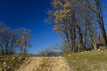 Paysage d'hiver dans les Abruzzes en Italie