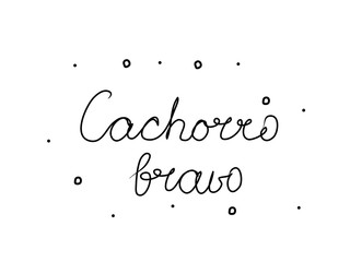 Cachorro bravo phrase handwritten with a calligraphy brush. Angry dog in portuguese. Modern brush calligraphy. Isolated word black