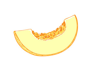 A piece of melon. Cartoon vector icon isolated on white background.