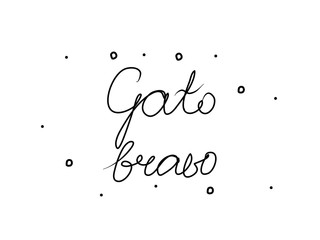 Gato bravo phrase handwritten with a calligraphy brush. Angry cat in portuguese. Modern brush calligraphy. Isolated word black