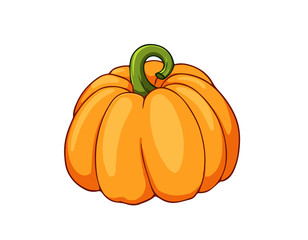 Fresh pumpkin. Cartoon vector icon isolated on white background.