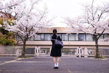 女子生徒と桜