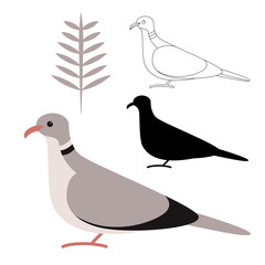 European Turtle-dove’s ,vector illustration,flat style