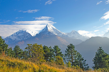 Fototapeta premium Jungle and landscape Himalayas in Nepal beautiful mountains amid blue sky