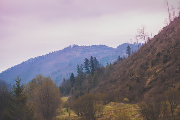 Mountains in the early misty morning. View of the mountains in early spring. Beautiful nature landscape. Carpathian mountains. Ukraine
