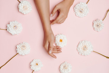 Obraz na płótnie Canvas White dahlia flowers around woman's hands on pink background. The concept of femininity, self care.