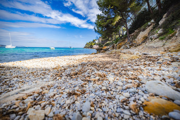 Beautiful stone Beach in Palmanova Mallorca, Spain. Teal Sea and pine trees.