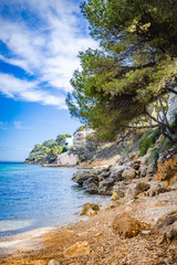 Beautiful stone Beach in Palmanova Mallorca, Spain. Teal Sea and pine trees.