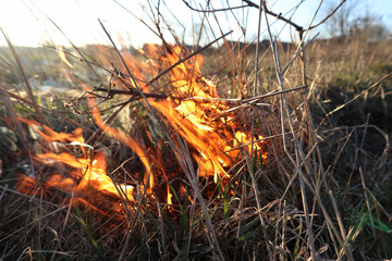 Burning grass on the side of the road