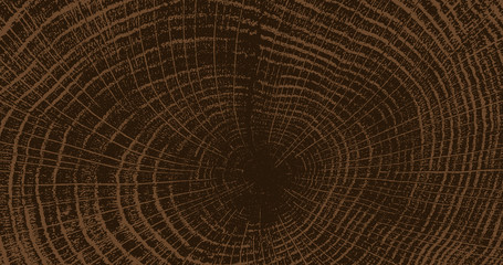 Cracked stump wood texture. Wood material surface. Natural wooden stump trace. Lumber surface. Vector illustration