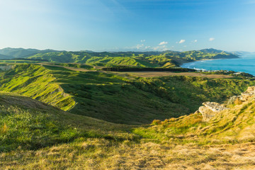 ニュージーランド　ワイララパのキャッスル・ポイントのキャッスル・ロックからの景色