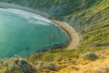 ニュージーランド　ワイララパのキャッスル・ポイントのキャッスル・ロックから見えるビーチ