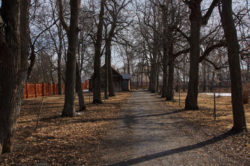 Linden alley.A dirt walking path surrounded by lindens trees. At the edges of the path last year's withered grass. In some places, you can see the snow that hasn't melted. Russia, the village Boldino
