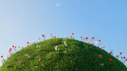 Fotobehang 3D green hill of grass with small red and white flower isolated over a blue sky background. © LAYHONG