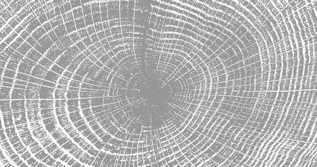 Cracked stump wood texture. Wood material surface. Vintage effect grit texture. Natural wooden stump trace. Lumber surface. Vector illustration