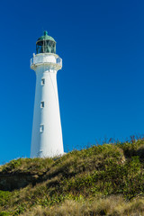 ニュージーランド　ワイララパのキャッスルポイントの灯台