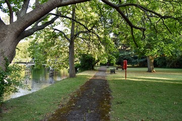 Empty park and benches in a sunny summer day
