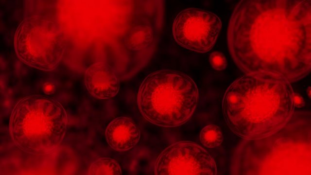 Animation of liquid, virus, dna cells, Abstract background for motion graphics, red background