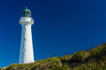 Fototapeta na wymiar ニュージーランド　ワイララパのキャッスルポイントの灯台