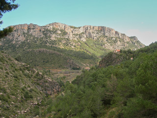 Fototapeta na wymiar Big mountain surrounded by pine trees with blue sky