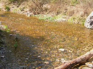 Stream with calm water between rocks