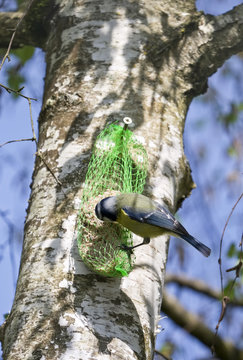 M&eacute;sange