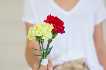 Hand holding a bunch of color carnation