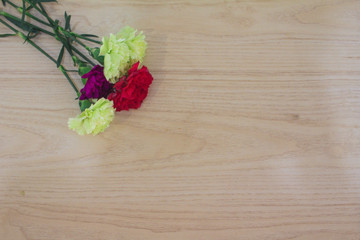 Color carnation flower bouquet on beige background.