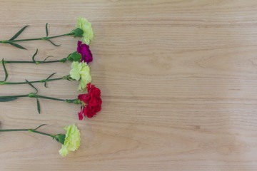 Color carnation flower bouquet on beige background.
