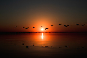 Obraz na płótnie Canvas lake sunset birds
