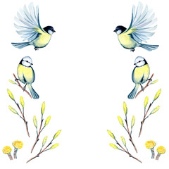 watercolor illustration of spring frame with flowers and tit 