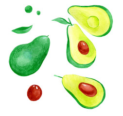 watercolor illustration set with avocado fruit