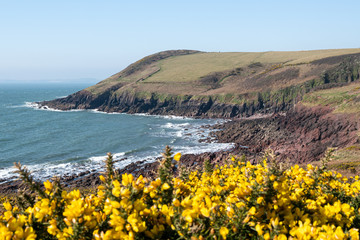 West Coast of Wales 