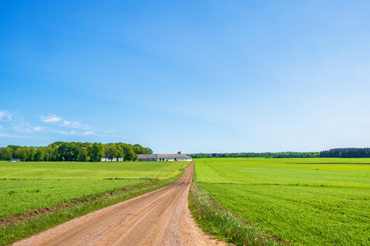Idyllic rural landscape in the summer with a dirt road to a farm