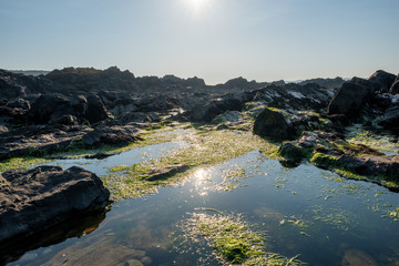 Fototapeta premium Sun reflecting in a water pool from the sea 