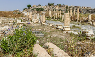 Umm Qais, Jordan Town and Tourist Destination 