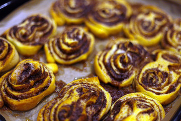 sweet rolls with cinnamon on the tray - backery or cooking at home. A detail of raw cinnamon buns - very shallow depth of field.