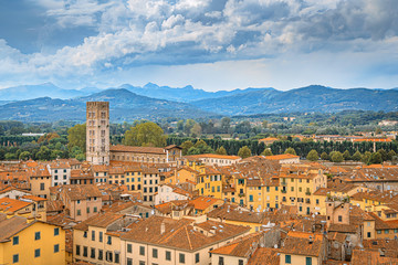 Fototapeta na wymiar Wide angle view of roofs in old town of Lucca, Italy