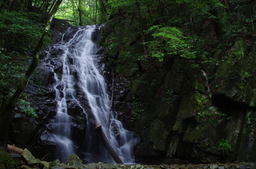  滝（waterfall）