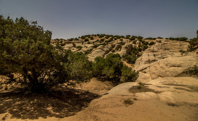 Dana Reserve, Jordan Tourist Destination 