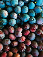 Two different plum cultivars, plum in a plastic basket