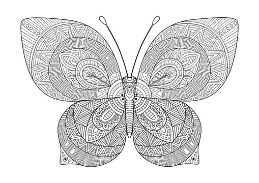 Vector black and white image of a butterfly on white background. Hand drawn butterfly zentangle style for t-shirt design or tattoo.