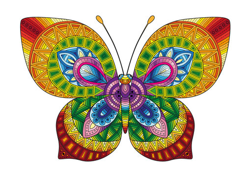 Vector bright butterfly on white background. Hand drawn butterfly zentangle style for t-shirt design or tattoo.