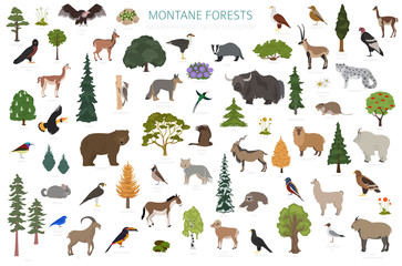 Obraz premium Montane forest biome, natural region infographic. Terrestrial ecosystem world map. Animals, birds and vegetations ecosystem design set