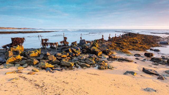 The Fence to Nowhere. A wire fence erected on Sugar Sands Beach on the coast of Northumberland, England, UK to prevent cattle wandering into the rocky coastline. Image taken at sunrise.