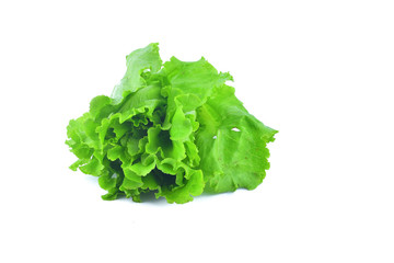 Salad on white background