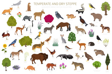 Temperate and dry steppe biome, natural region infographic. Prarie, steppe, grassland, pampas. Terrestrial ecosystem world map. Animals, birds and vegetations ecosystem design set