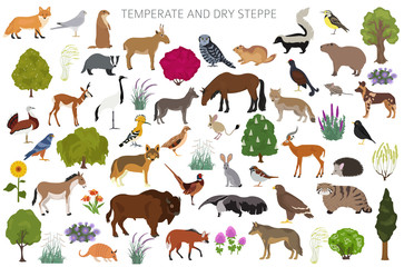 Temperate and dry steppe biome, natural region infographic. Prarie, steppe, grassland, pampas. Terrestrial ecosystem world map. Animals, birds and vegetations ecosystem design set - obrazy, fototapety, plakaty