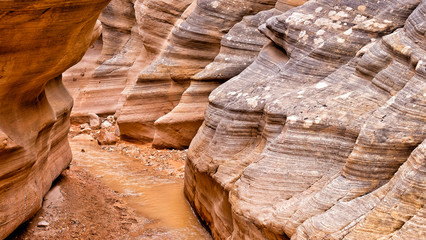 Willis Creek Slot Canyon in the Grand Staircase, Escalante..  A hiker friendly slot canyon in Utah formed from Navajo sandstone.